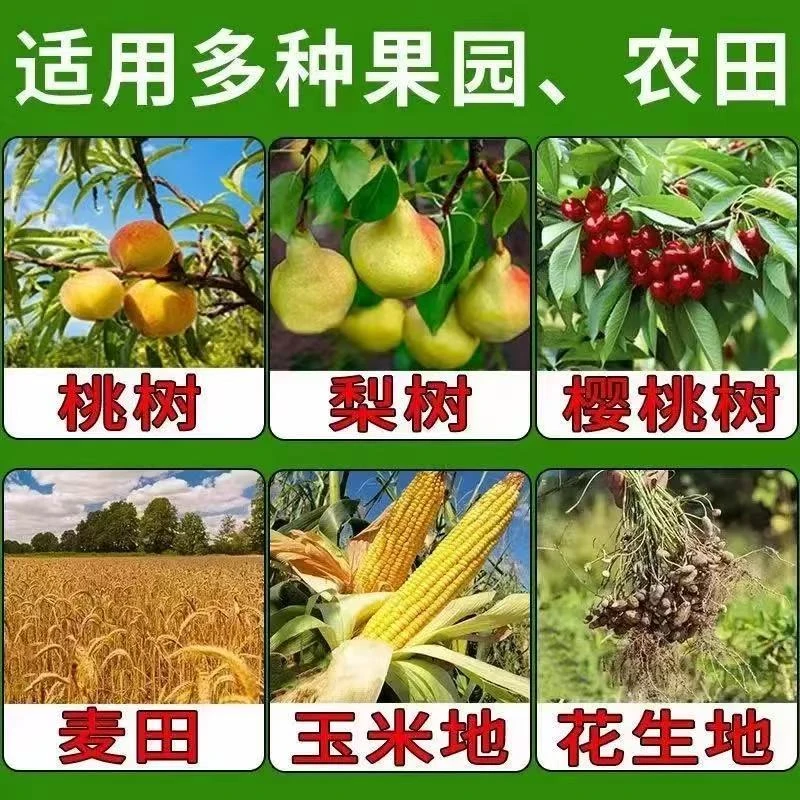 户外粮食伴侣五谷杂粮都可拌