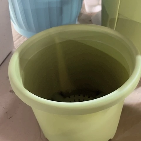 树脂四季2号5个绿➕托