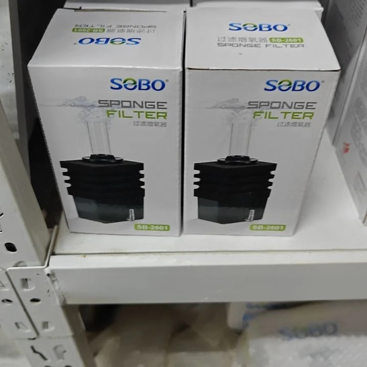 水妖精2601四方黑色松宝