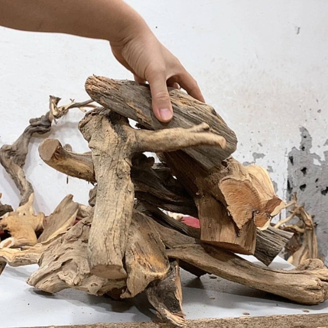 【闪购商品】柏木是*我们都是好孩子啊