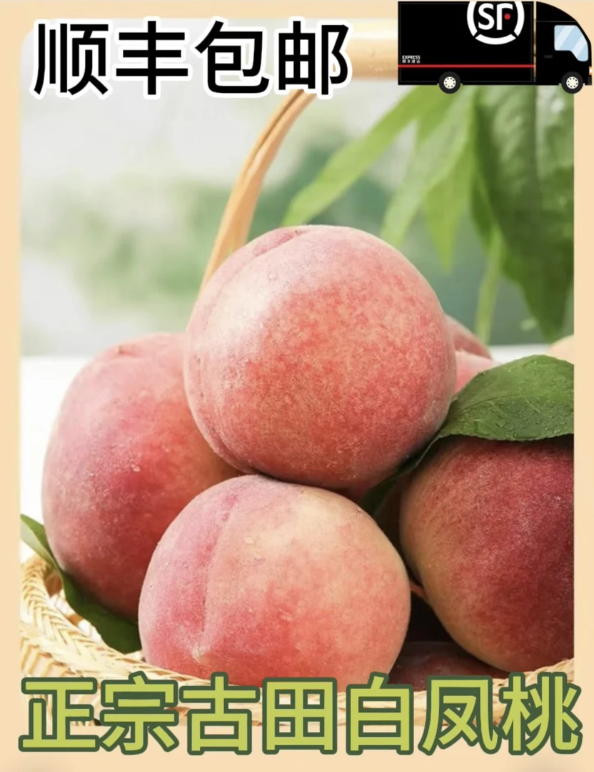 顺丰直达（10斤古田白凤桃）正宗古田新鲜现摘礼盒装软脆两吃