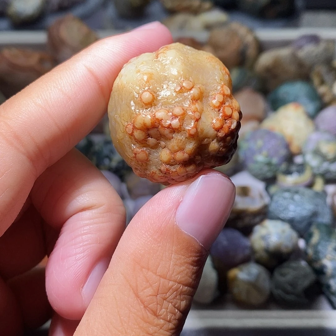 石头精品筋脉单科