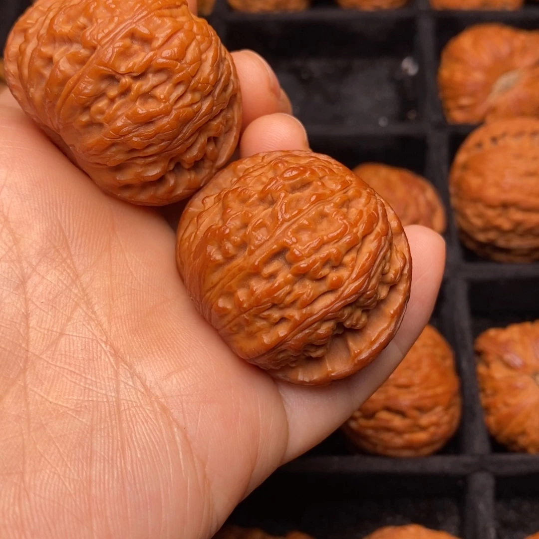 秦岭野生文玩核桃