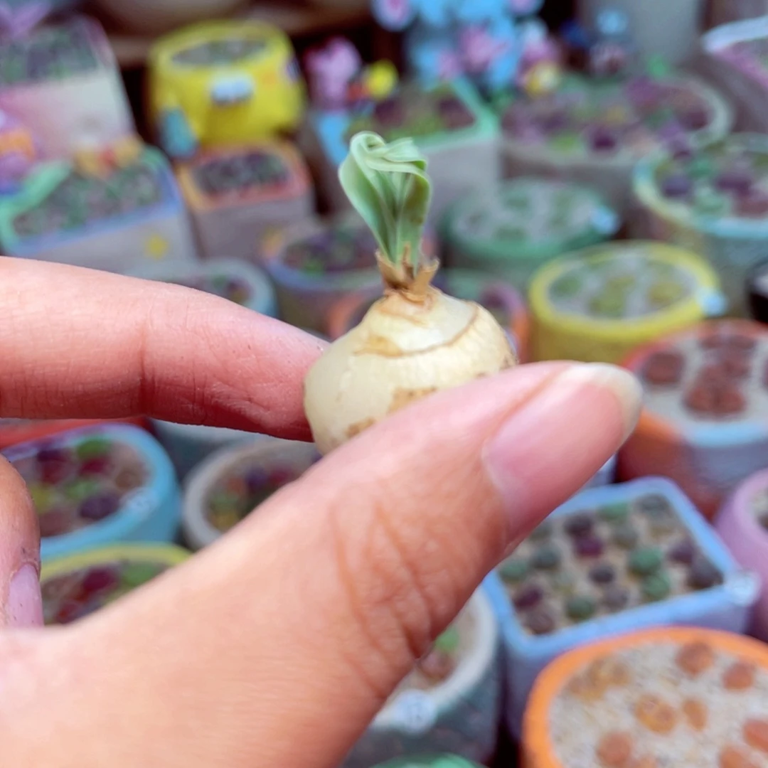 174。888888888888888888