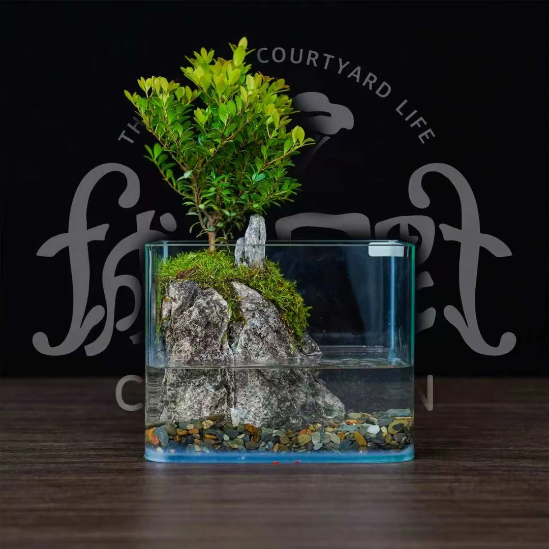 【灵澜】新品-室内小叶赤楠流水景观桌面绿植摆件-缸体18*12*14
