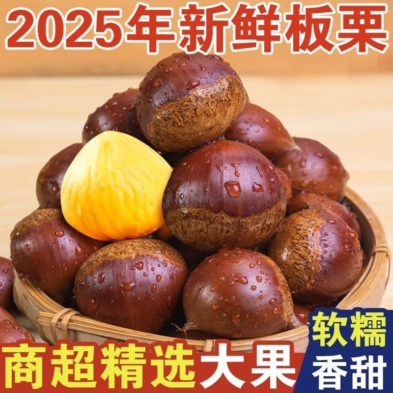 2025头茬板栗5斤现摘现发软糯香甜不难剥皮坏果包赔（精）