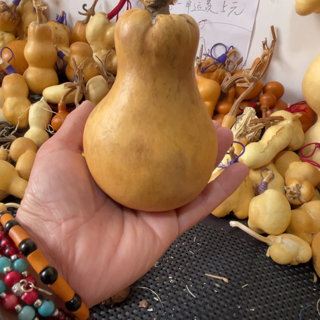 Y***，葫芦葫哈哈哈哈哈哈