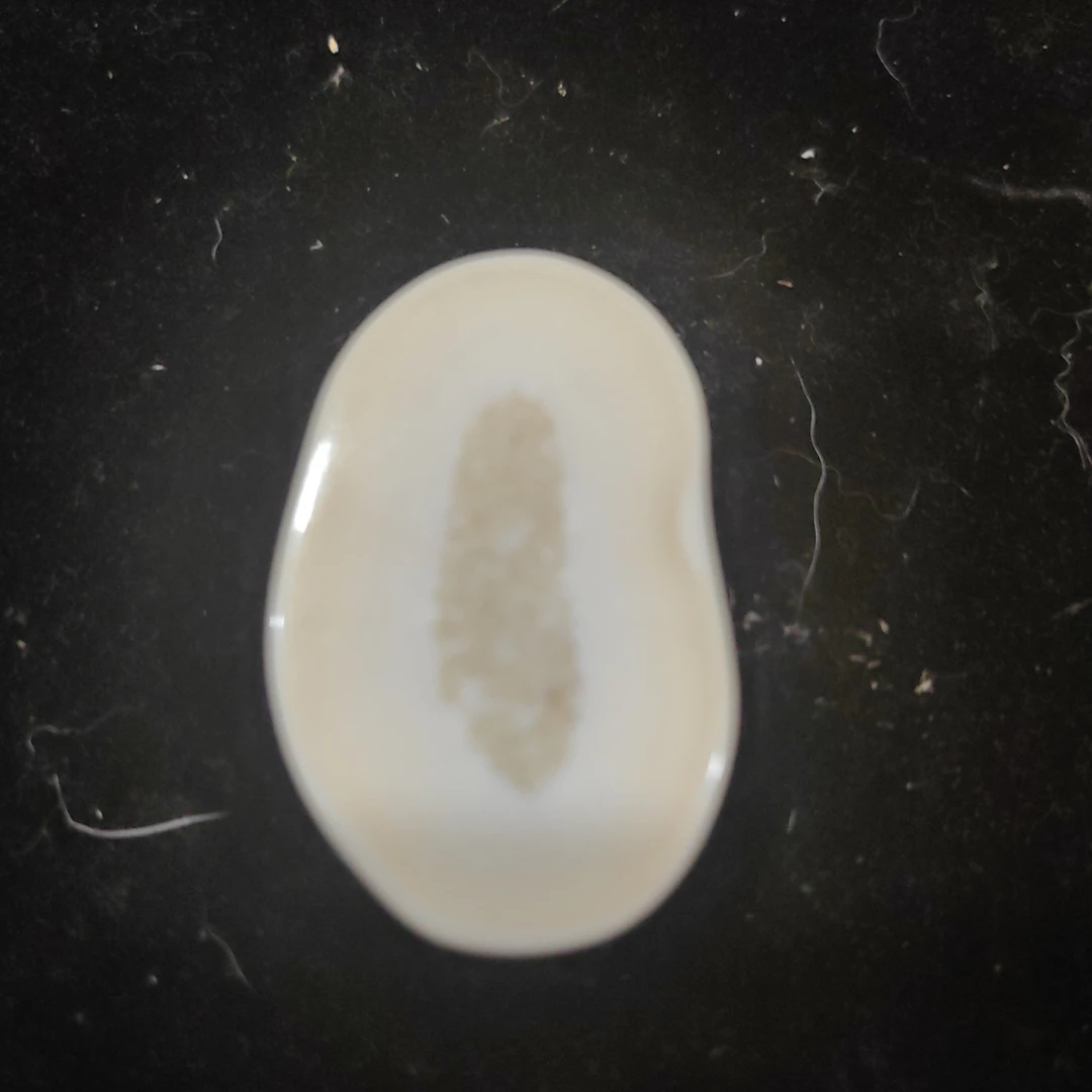 猛犸猛犸虬饼子WW244
