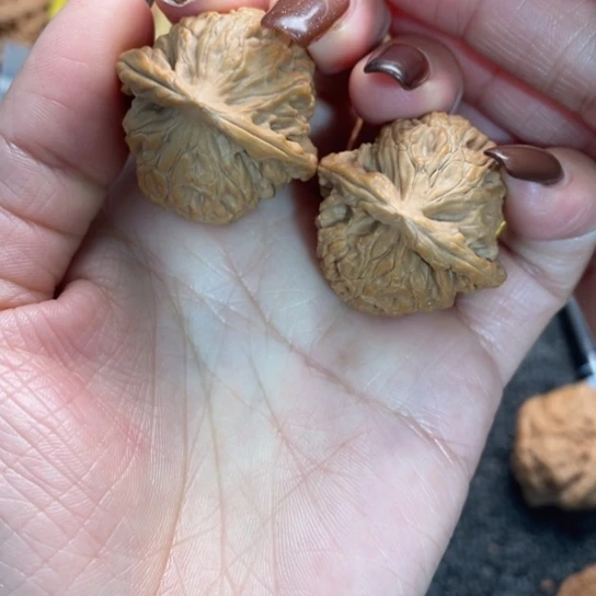 文玩核桃吊坠17玄武