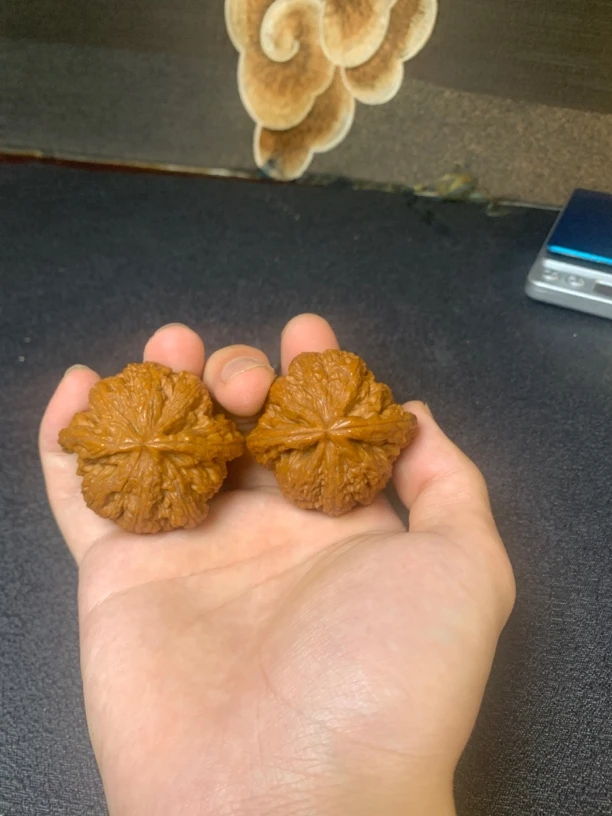 48粗筋60g回血必漏