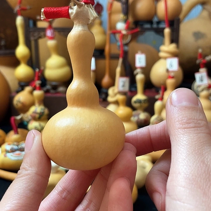 一**伴葫芦丝老师我还没有回来过一