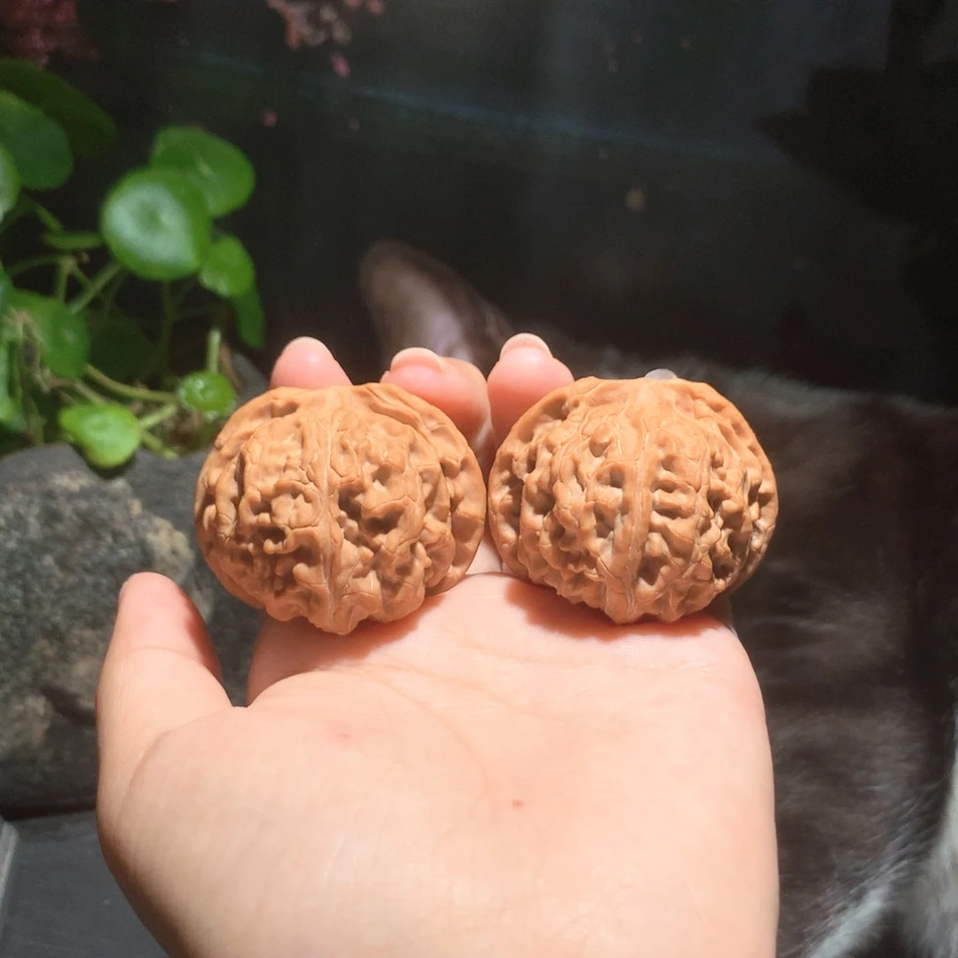 文玩核桃吊坠苹果园狮子头052615