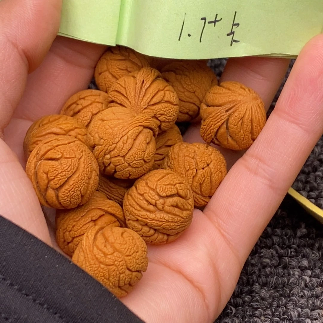 秦岭山脉龙纹桃核 15