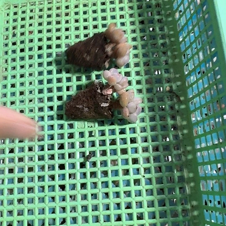 刘*晴c j c d h j d f j h f 018