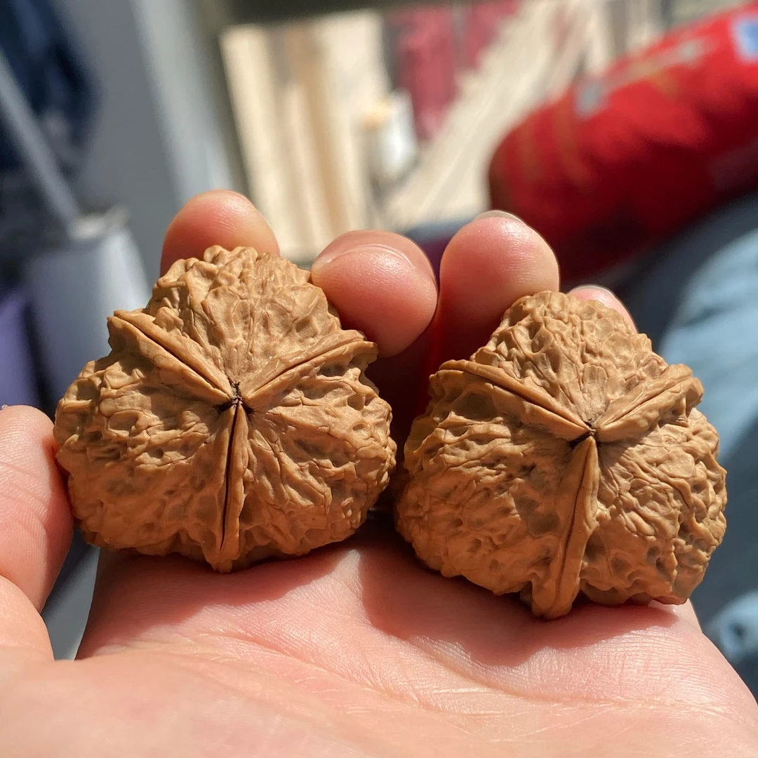 核桃把件铁核桃名款三棱随机发