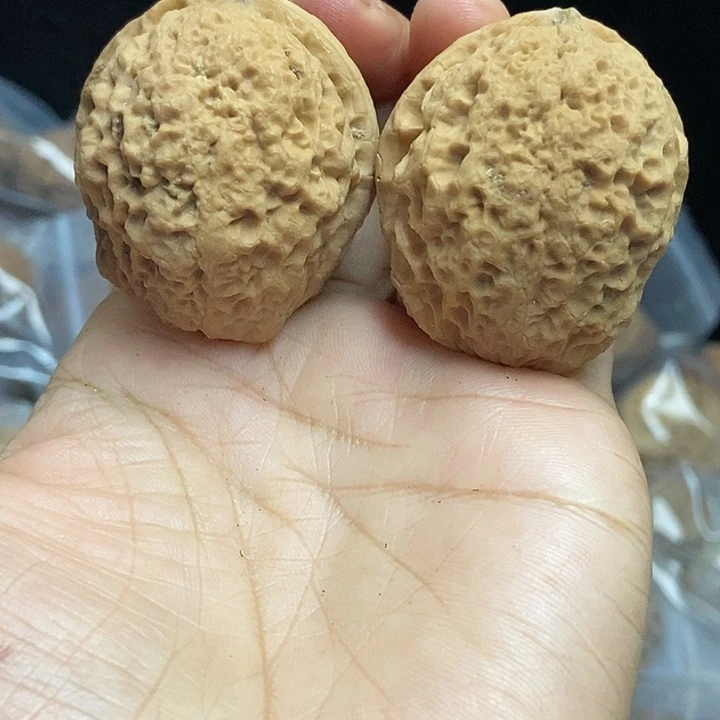 文玩核桃把件云南铁核桃基地71