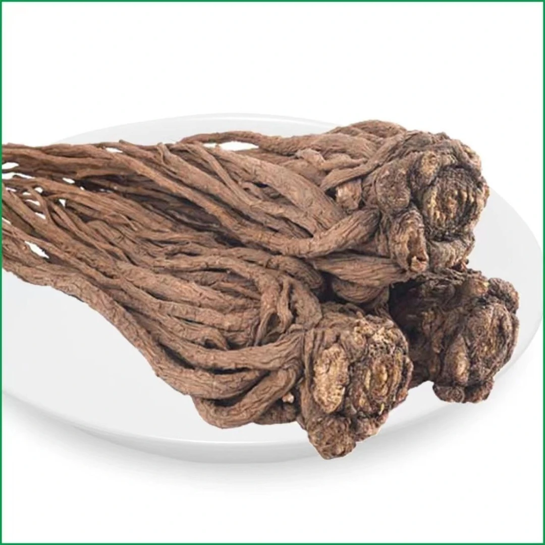 甘肃岷县农民自家种植当归包邮