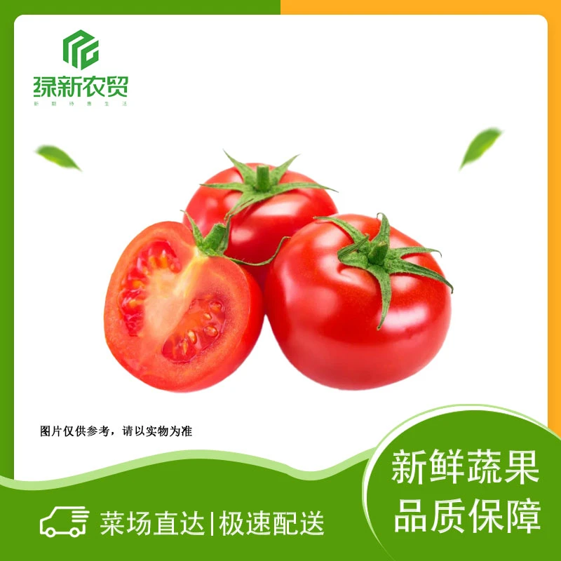 西红柿（小）约500g±50g/份