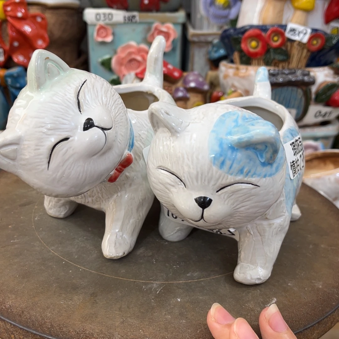 凑满15包邮发货发货