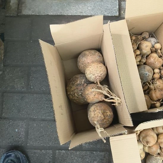 葫芦花皮葫芦花皮