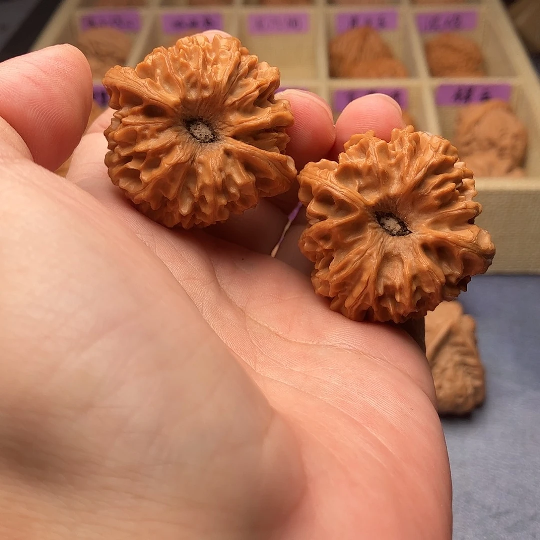 文玩核桃把件龙门涧狮子头40（头货精品