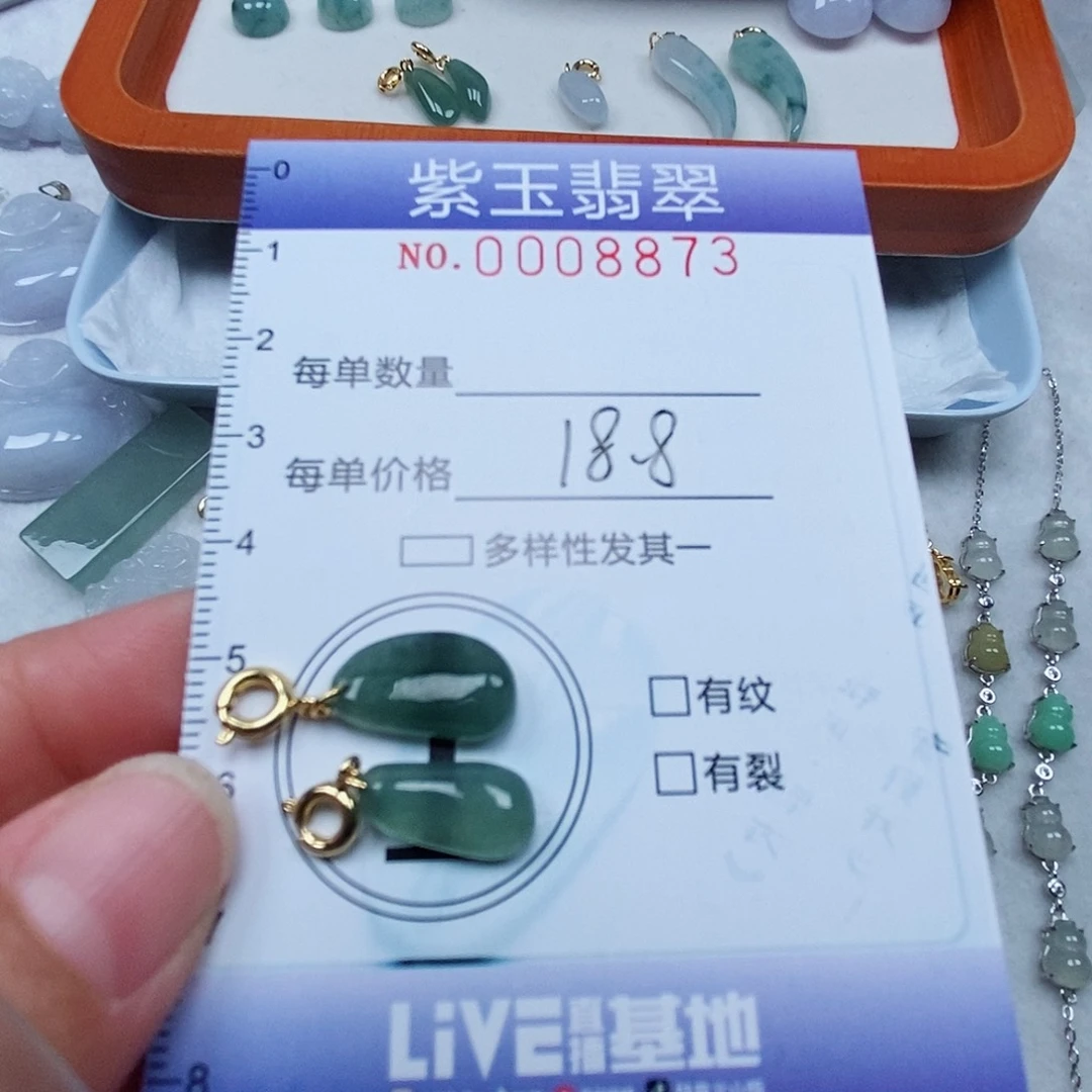 颈饰未镶嵌翡翠冰透随行