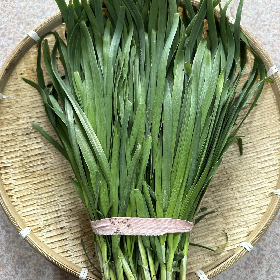 【顺丰包邮】新鲜现发苏北韭菜现摘现发本韭菜烧烤食材绿色蔬菜
