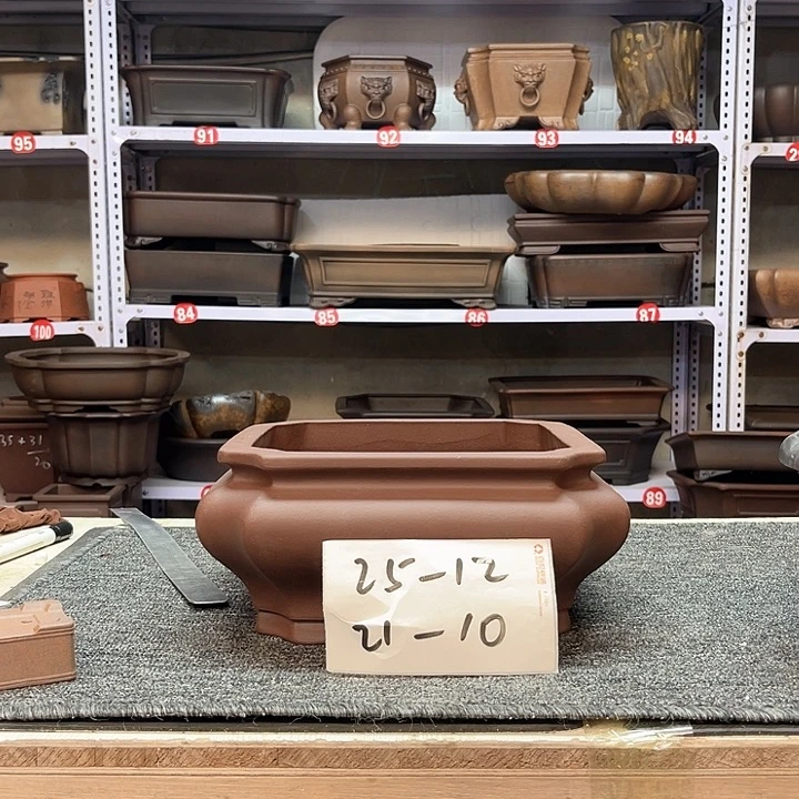 紫砂花盆紫紫好好看