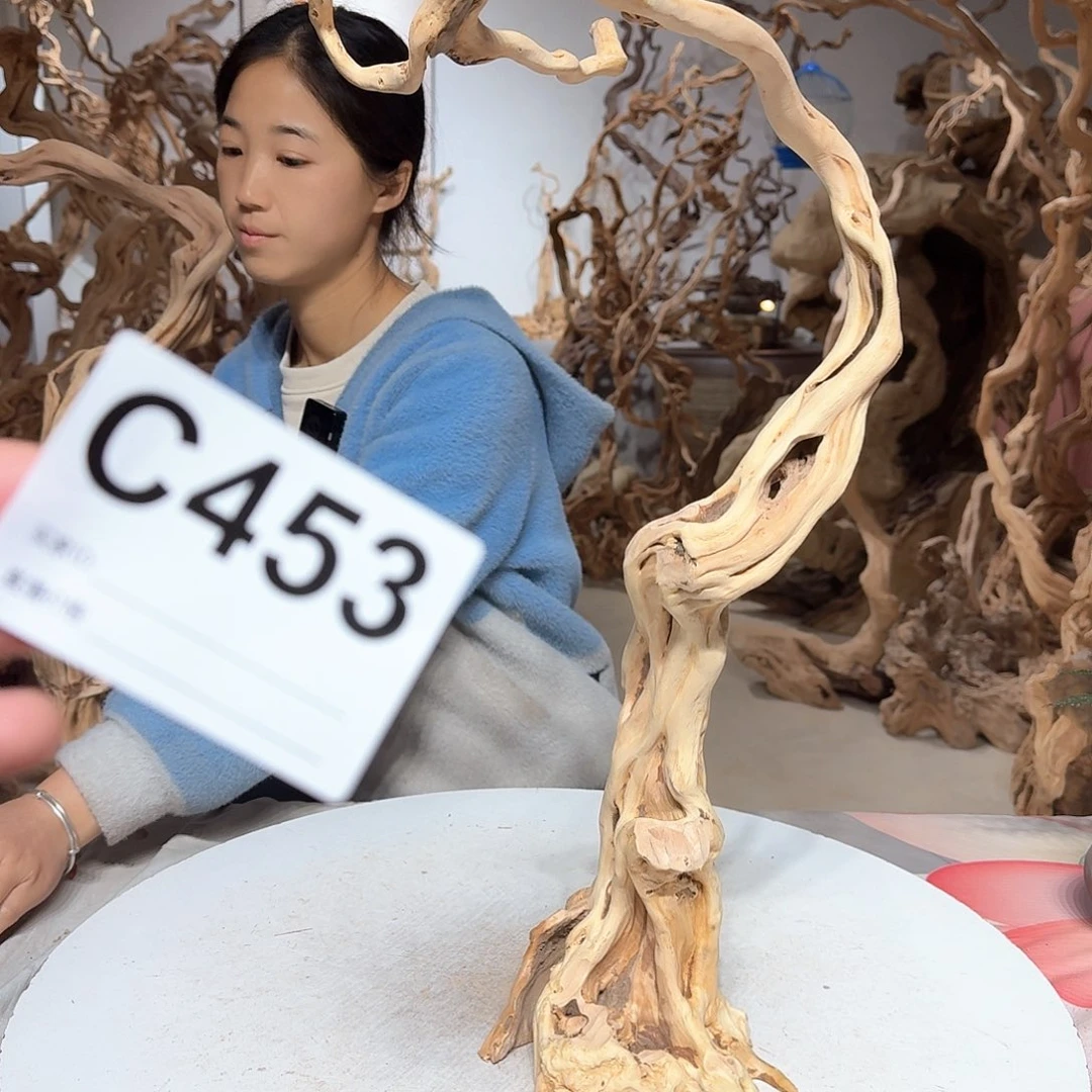 风车木（黑檀木）飞**影