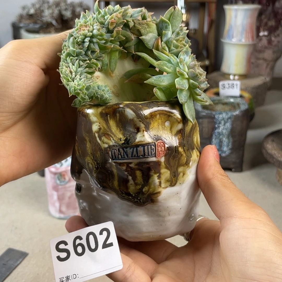 小白孤品 内口5 百搭 不含肉