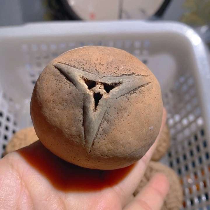 野生蟠桃三花大橄榄核5863