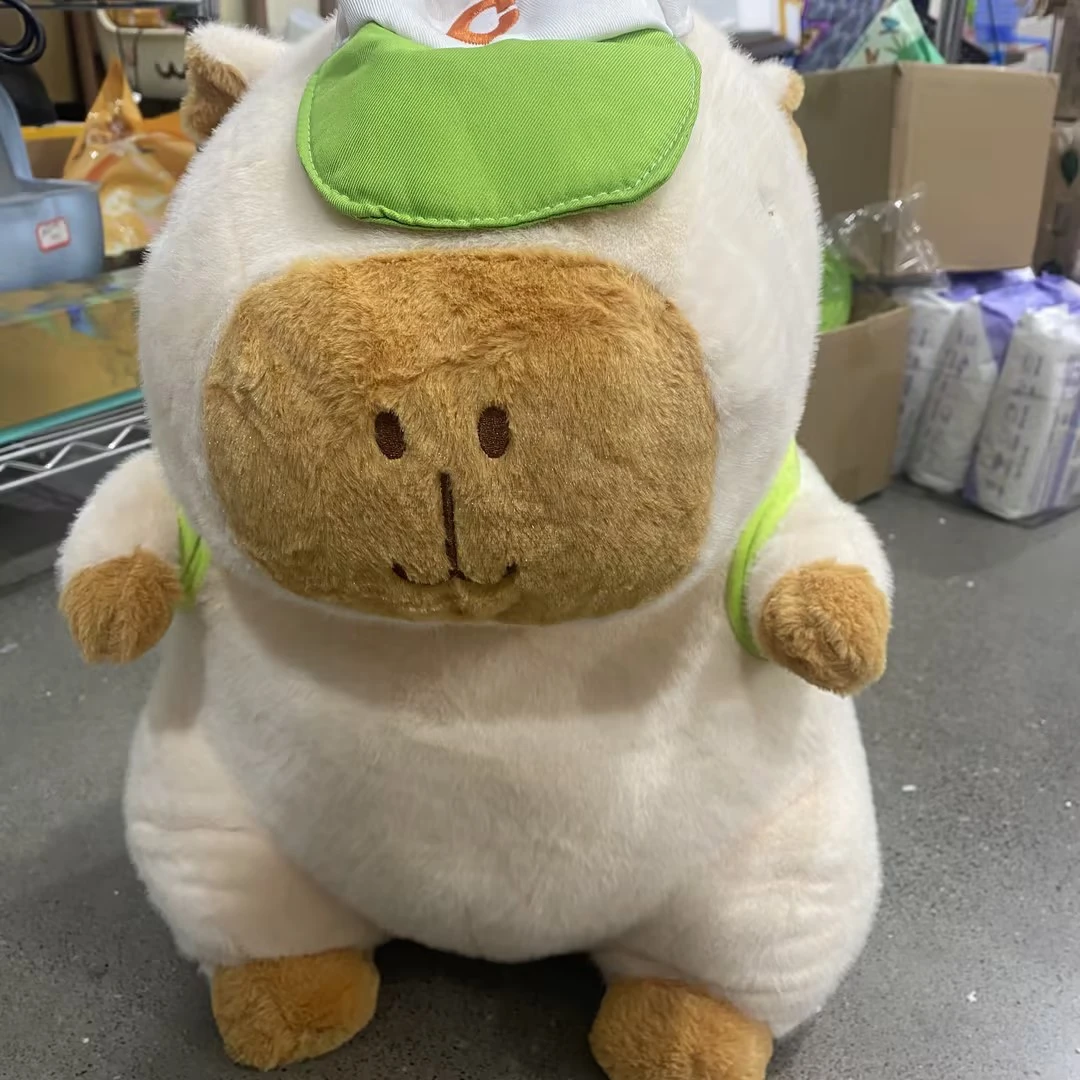 【黎明专属】玩偶抱枕