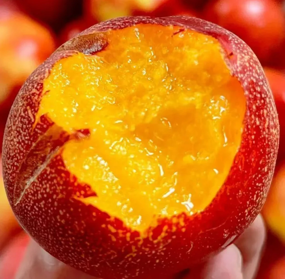 湖北枣阳露天黄肉油桃自然成熟果农现采现发