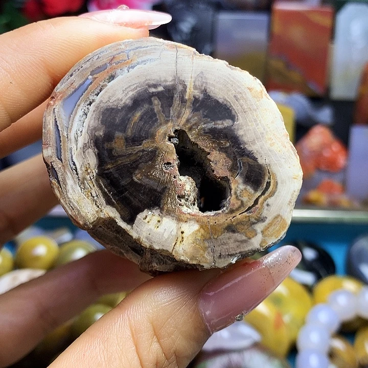 硅化玉未镶嵌吊坠(不含链)树年轮树墩