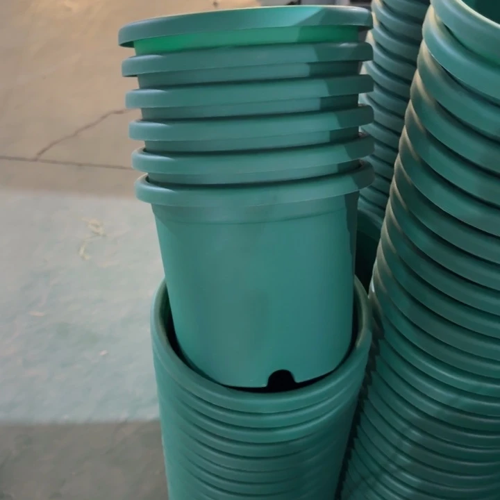 特价3号10个无托祖母绿