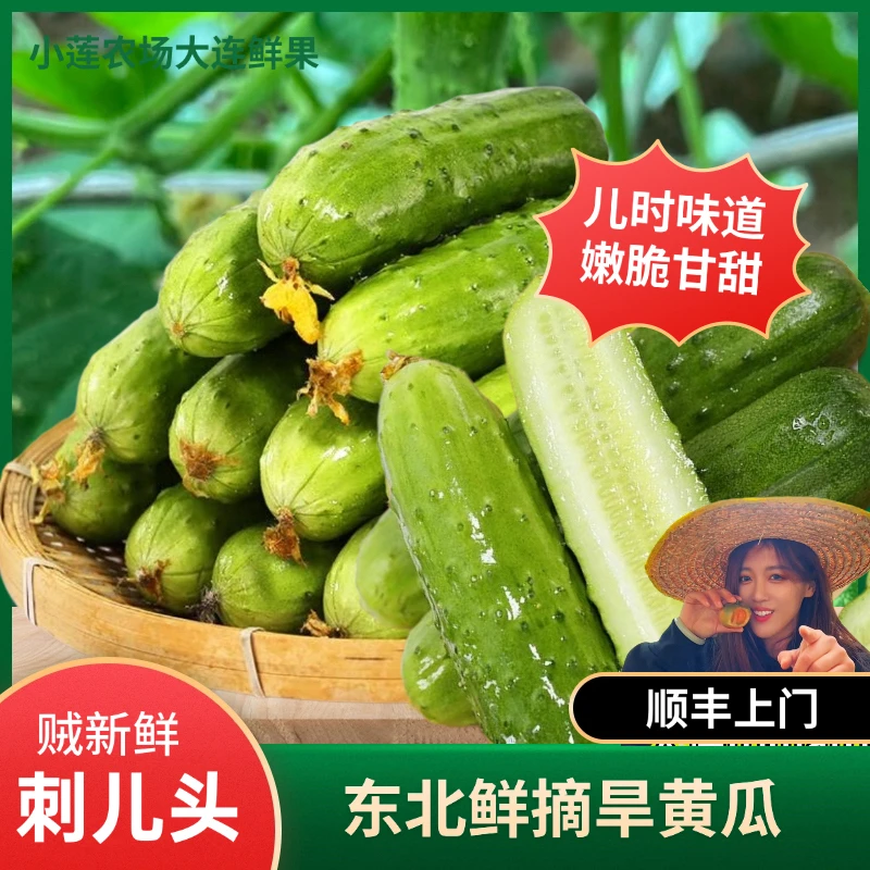 新鲜现摘水果黄瓜生吃脆嫩清甜东北旱黄瓜农家当季蔬菜产地直发