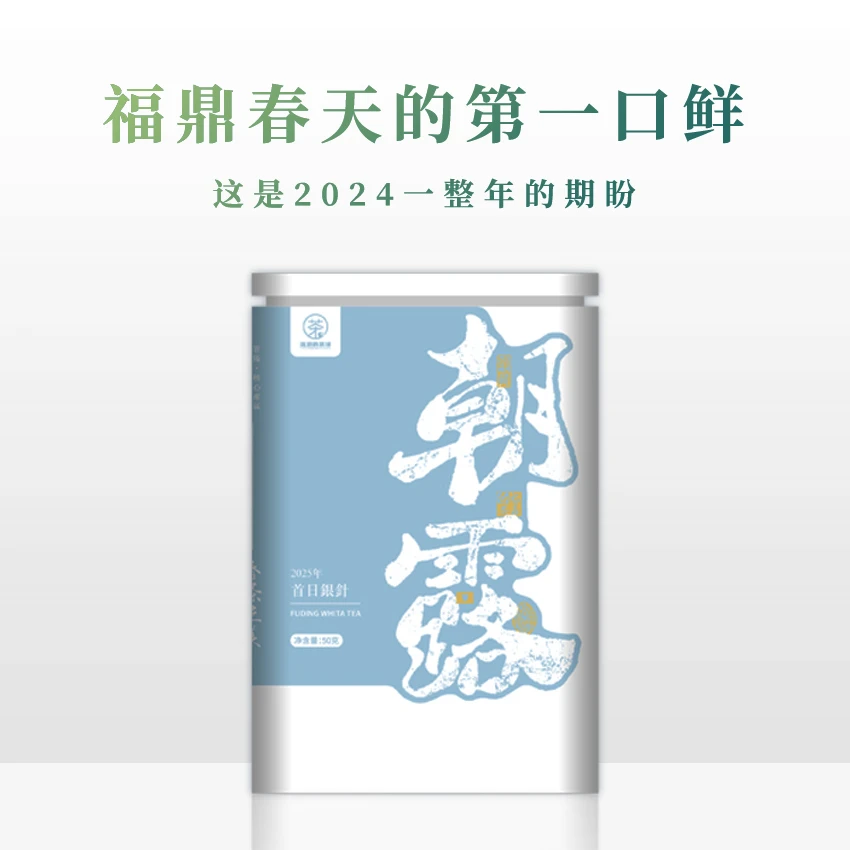 【朝露】2025年春茶首日银针福鼎白茶毫香手工采摘体验日晒
