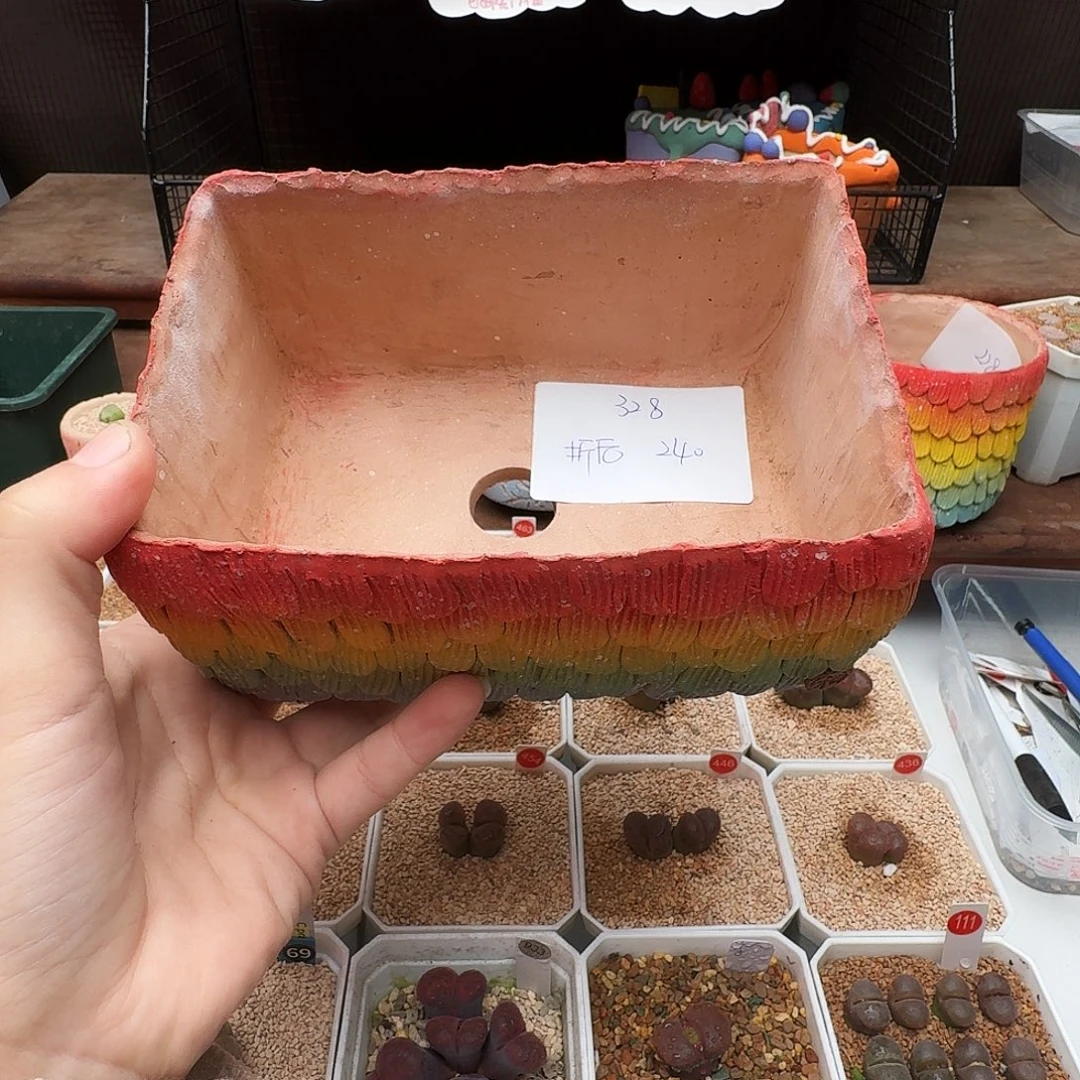 爱***猫多肉植物福利风铃