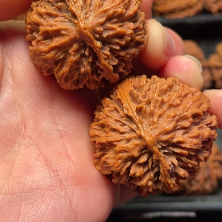 文玩核桃把件秦岭山脉核桃