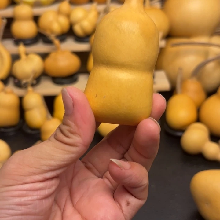 一*呀155555565558966999