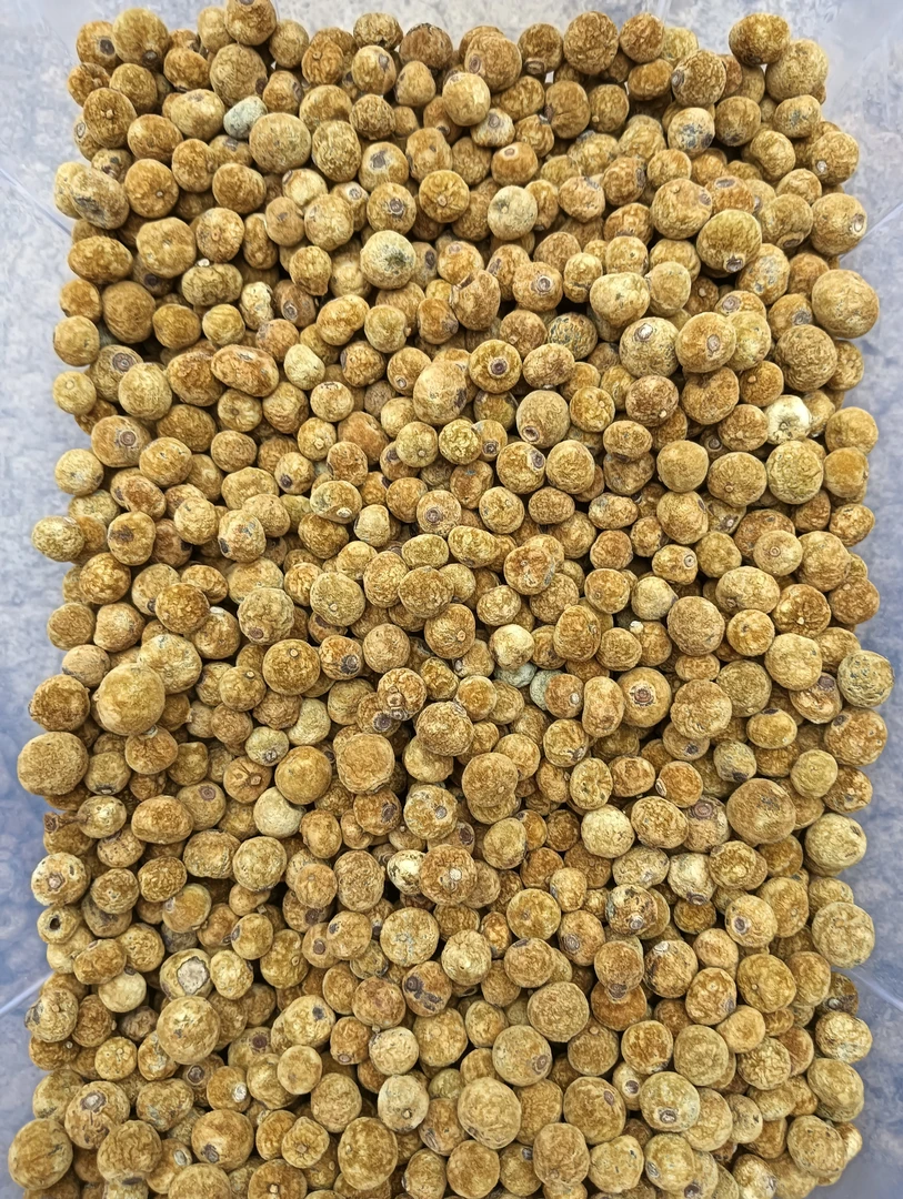 化州橘红金珠小胎果（平定直发）