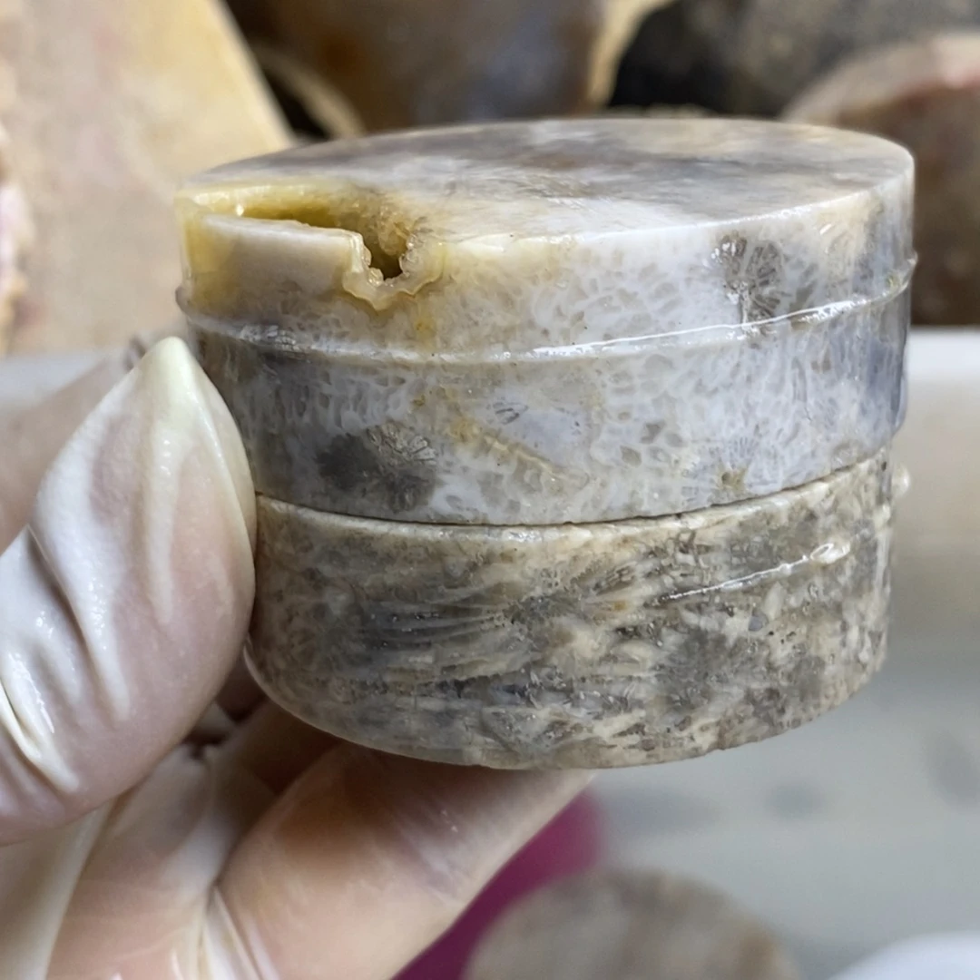 【闪购商品】硅化玉珊瑚玉未镶嵌
