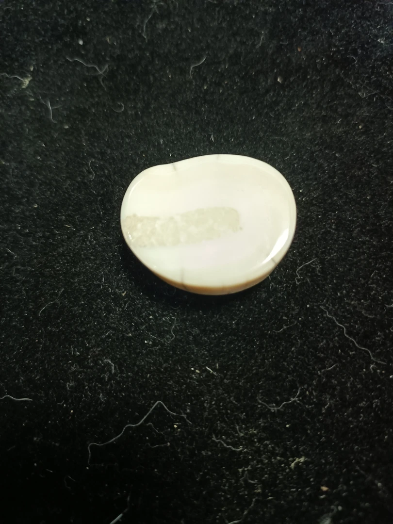 猛犸猛犸虬饼子WW427