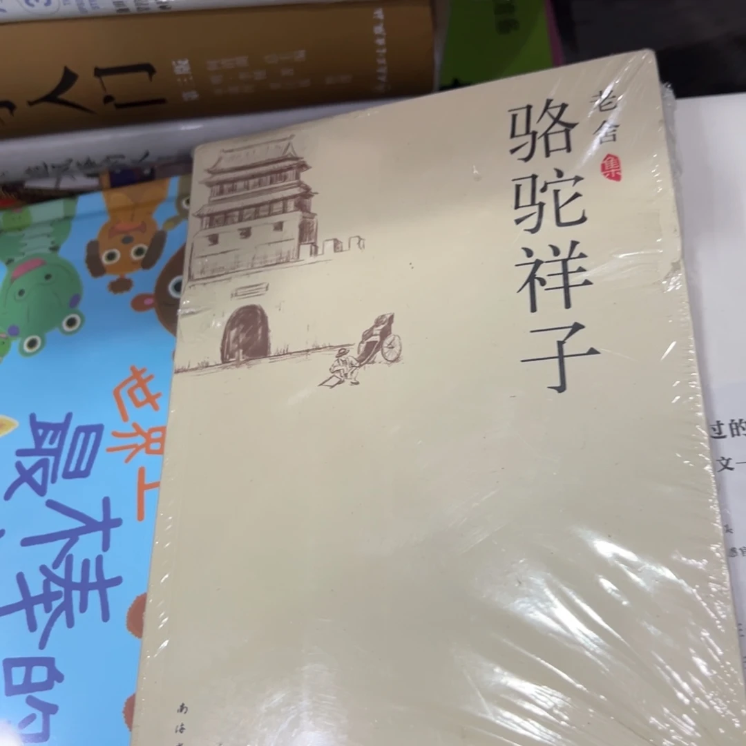 蛋***饭骆驼祥子五米一个