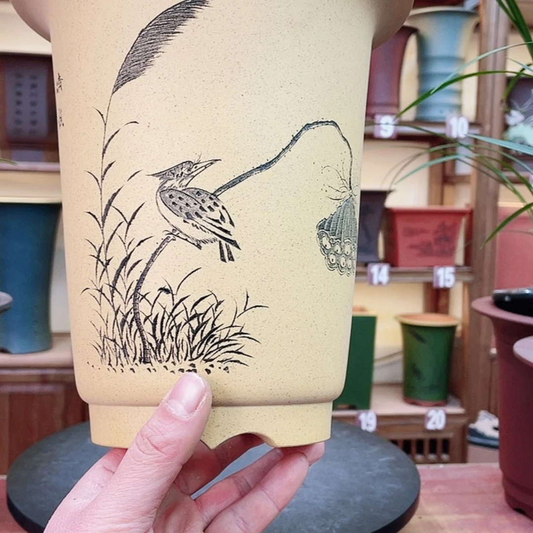 【闪购商品】紫砂花盆即*兰花866585555544755588