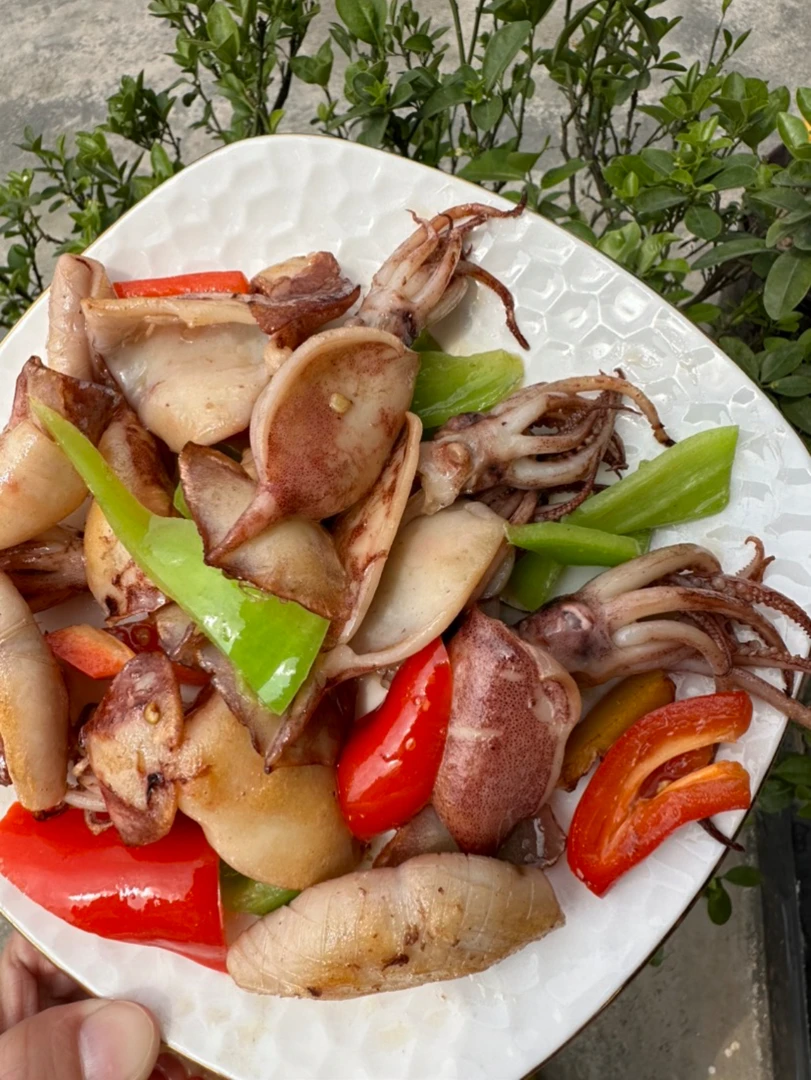 湛江本港鱿鱼爆炒焖烧250g/500g/1000g