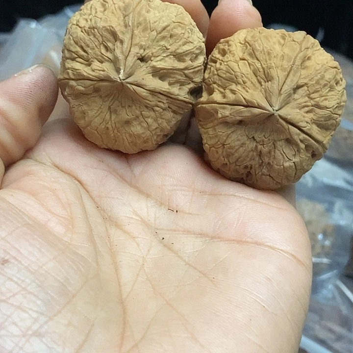 文玩核桃把件云南铁核桃基地55