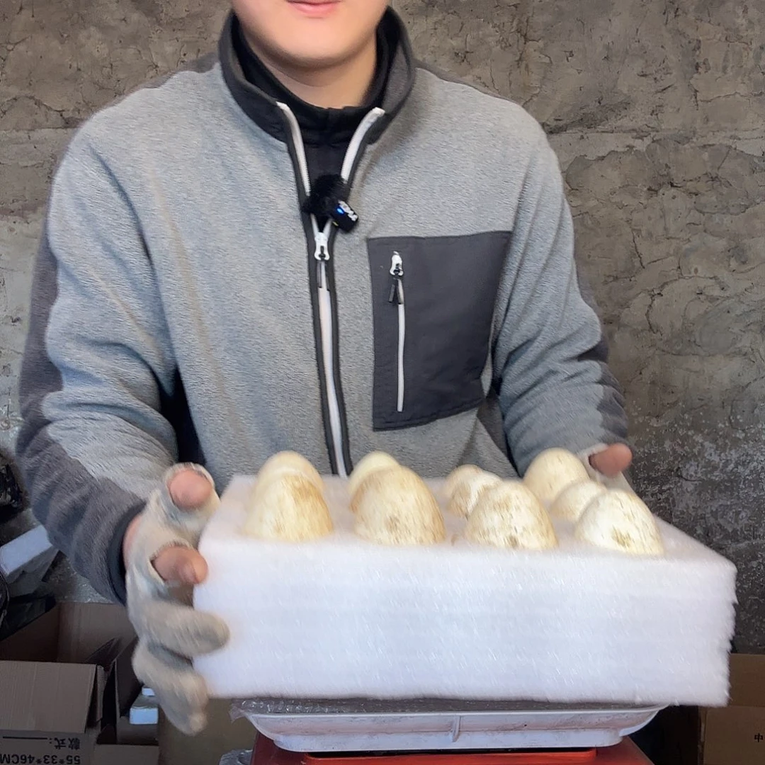 包装中国大陆160160+