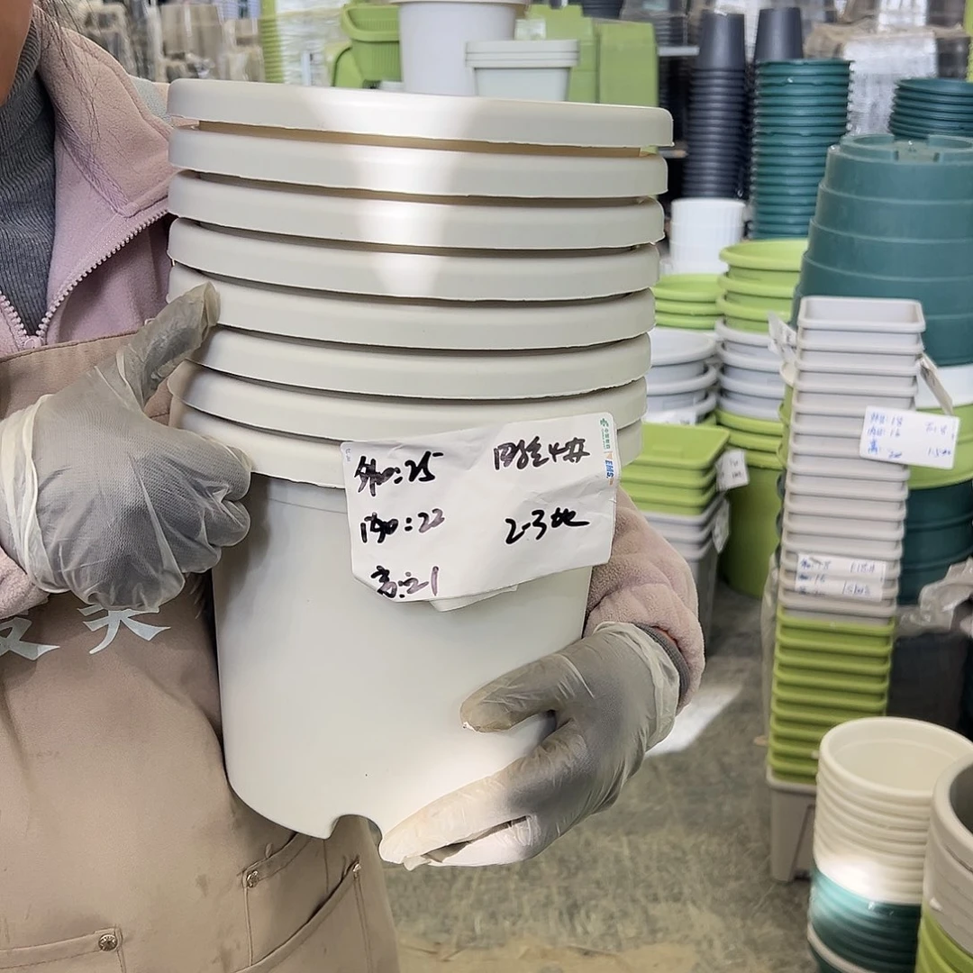 四季盆4#白色8个无托