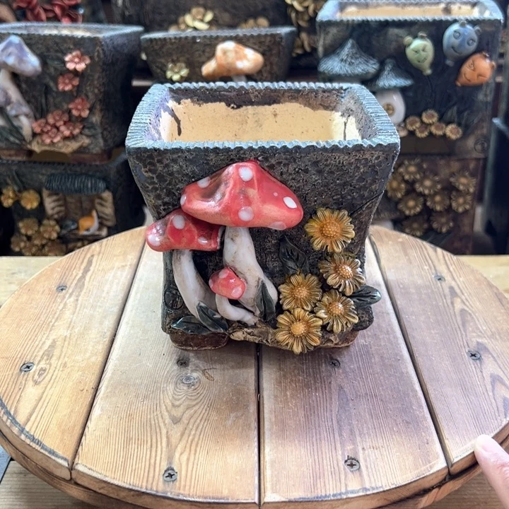 青藤多肉花盆百搭
